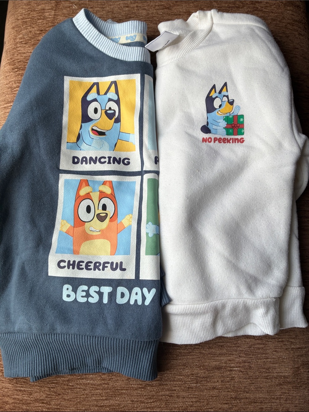 Bluey Kids' Sweatshirt Set of 2 - Blue and White